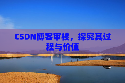 CSDN博客审核，探究其过程与价值